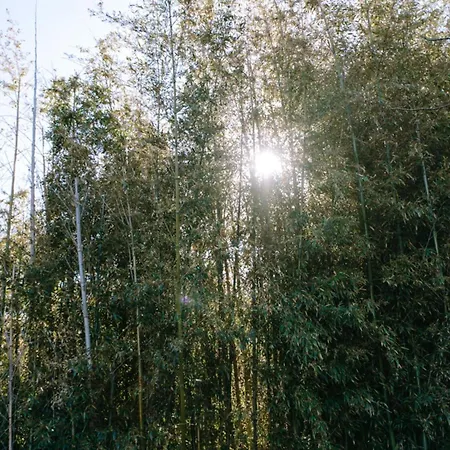 Holiday home The Bamboos - Private Heated Swimming Pool *